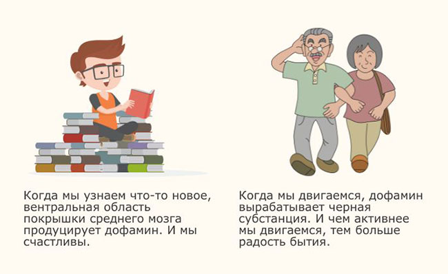Удовольствие от движения и новизны
